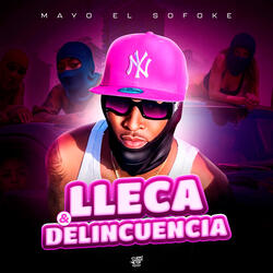 Lleca y Delincuencia