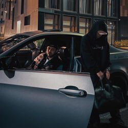 Птицей стать