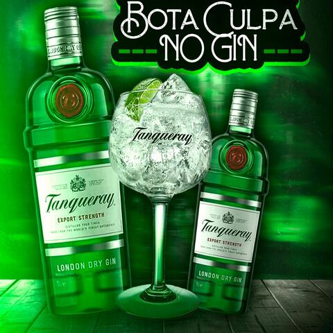 Bota Culpa no Gin