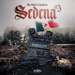 Sedena Vl.3