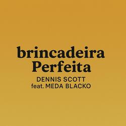 Brincadeira Perfeita