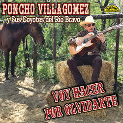 Voy Hacer por Olvidarte