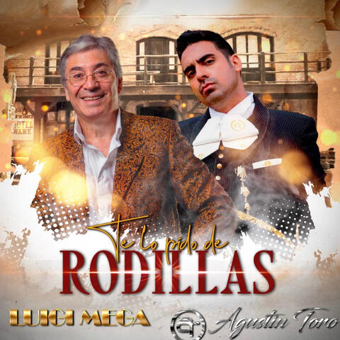 Te lo Pido de Rodillas