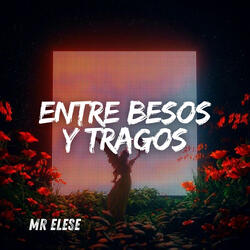 Entre Besos y Tragos