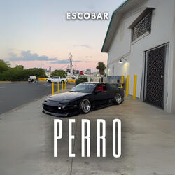 Perro