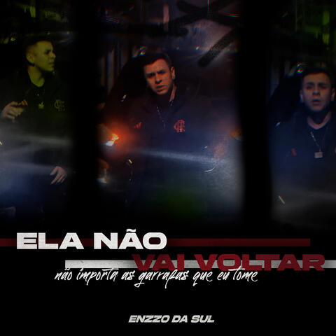 Ela Não Vai Voltar Não Importa as Garrafas Que Eu Tome