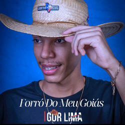 Forró do Meu Goiás