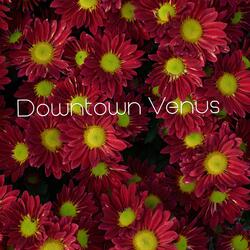 Downtown Venus