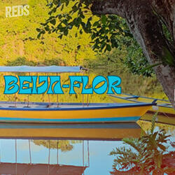 Beija-Flor