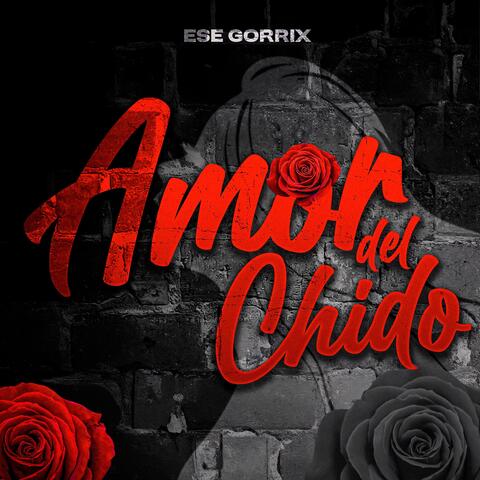 Amor del Chido
