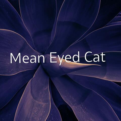 Mean Eyed Cat