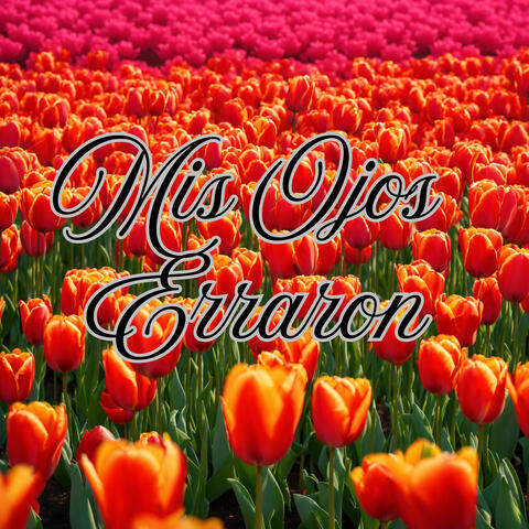 Mis Ojos Erraron
