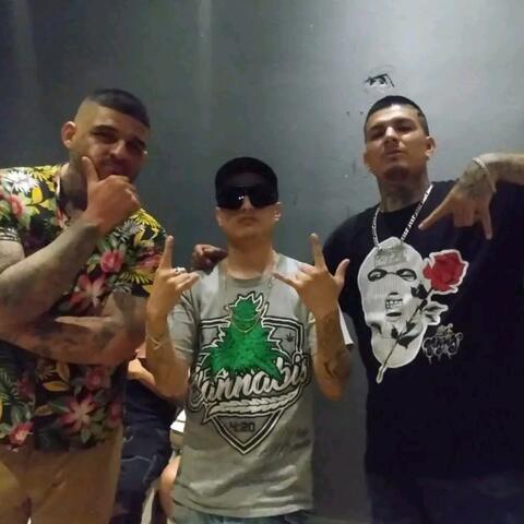 Igual