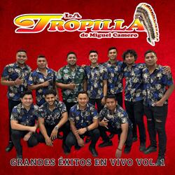 La Iguana / La Malagueña Curreña / Feria Chilpancingueña