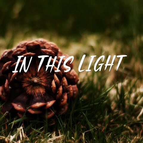 In This Light
