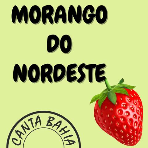 Morango do Nordeste