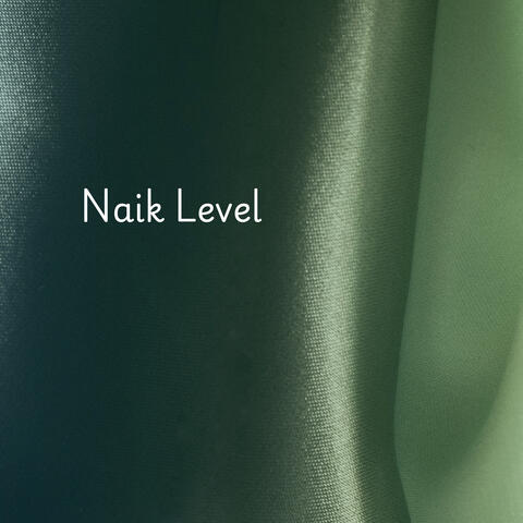 Naik Level