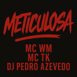 Meticulosa