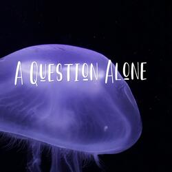 A Question Alone