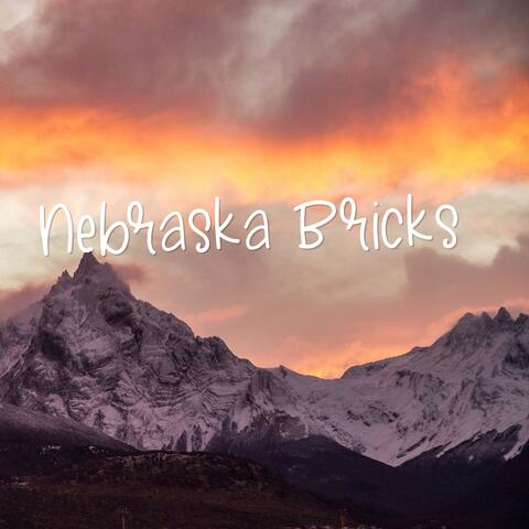 Nebraska Bricks