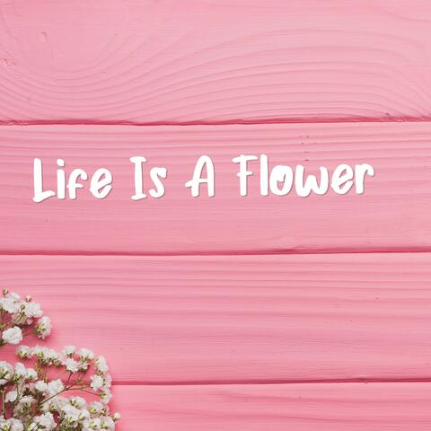 Life Is a Flower