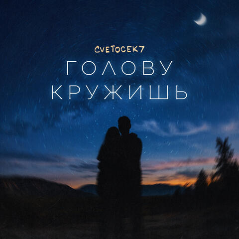 Голову кружишь