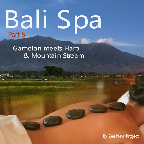 Bali Spa Part 5 - Gamelan Meets Harp & Mountain Stream