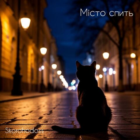 Мiсто спить