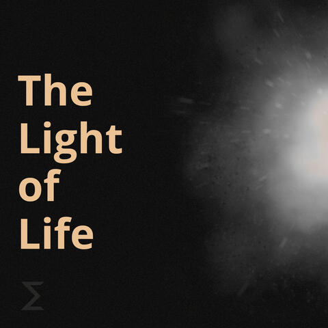 The Light of Life