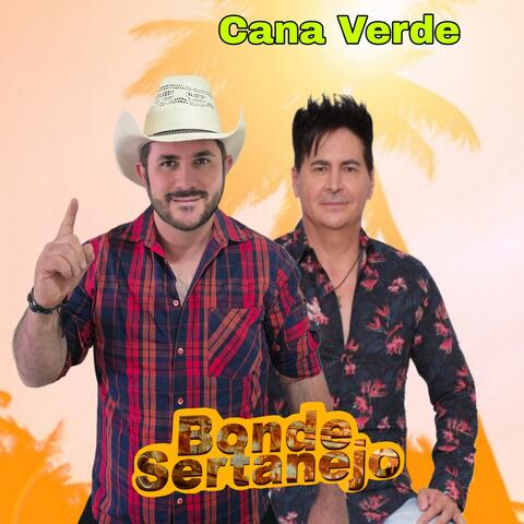 Cana Verde