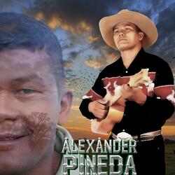 Voy Traspasando Barreras