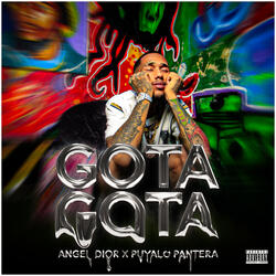 Gota Gota