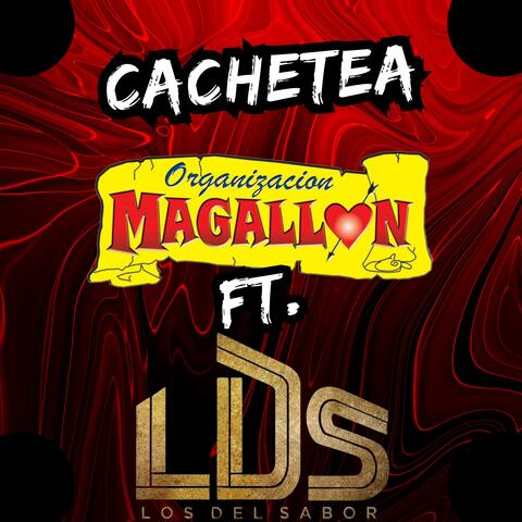 Cachetea