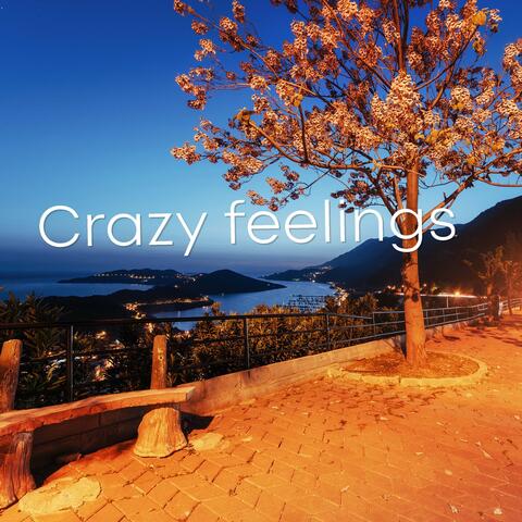 Crazy Feelings