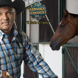 Llamarada de Amor