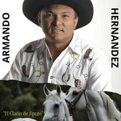 Colie el Toro de Tu Amor