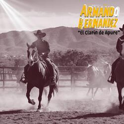 Viejo Gaucho