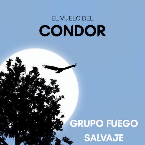 El Vuelo del Condor