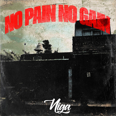 No Pain No Gain