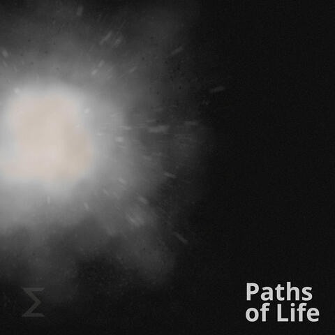 Paths of Life