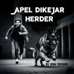 Apel Dikejar Herder