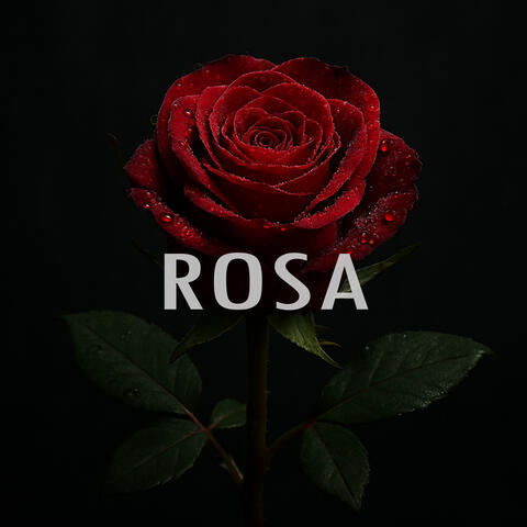 Rosa