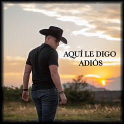 Aquí Le Digo Adiós
