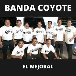 Mi Juventud a los 40