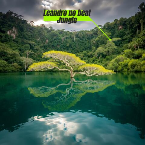 Jungle