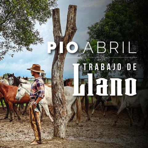 Trabajo de Llano