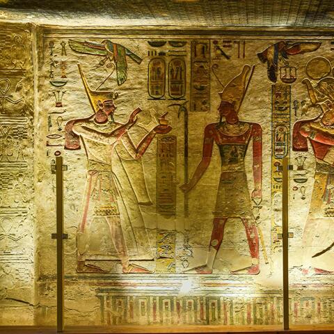 Driven By Dedication