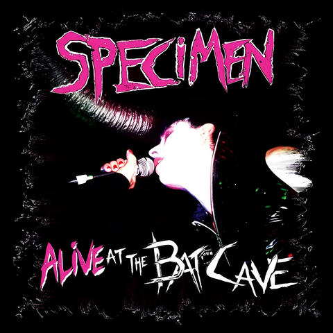 Alive at the Batcave