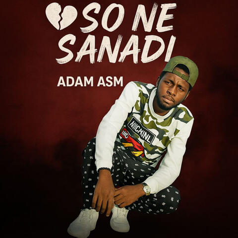 So Ne Sanadi