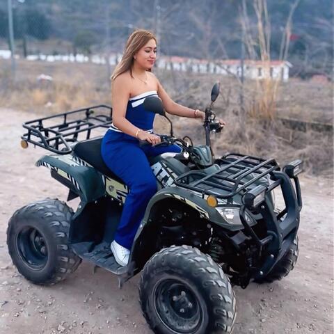 Estilo